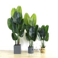 uploads/erp/collection/images/Home Garden/dgjiawang/XU0612558/img_b/XU0612558_img_b_3